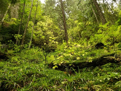 We live on a beautiful planet, full of secrets and surprises and we like to think we can control everything in its sphere