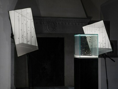 Edoardo Dionea Cicconi, exhibition