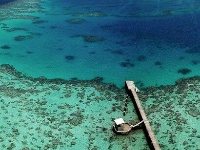 La barriera corallina