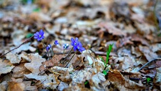 Ogni viaggio autentico continua a intrecciare passato e futuro, ricordandoci che ogni arrivo è soltanto l'inizio di un nuovo cammino