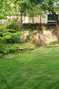 Vista del giardino