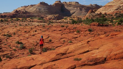 La llegada de un nuevo año es el momento en el que la mayoría hacemos buenos propósitos, pero...¿cuántos llegan a realizarse?