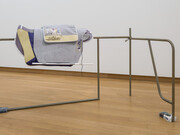 Hybrid Sculpture. Courtesy of Stedelijk Museum