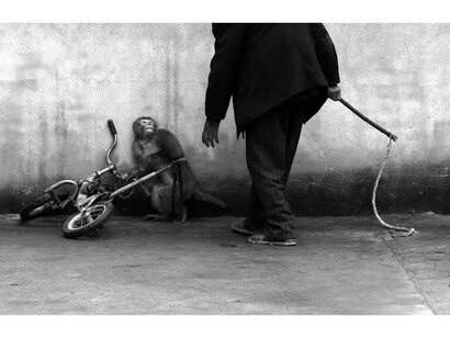 First Prize Nature Category, Singles. Yongzhi Chu, China. Suzhou, Anhui Province, China
