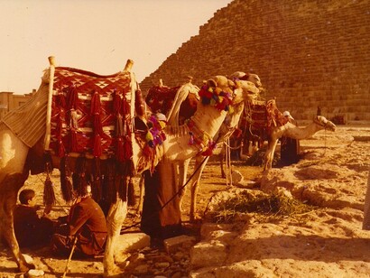 Giza, Piramidi