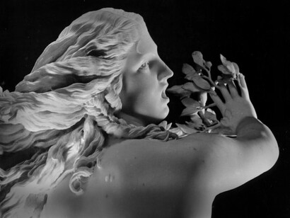 Bello è anche qualcosa di estremamente ‘culturale’