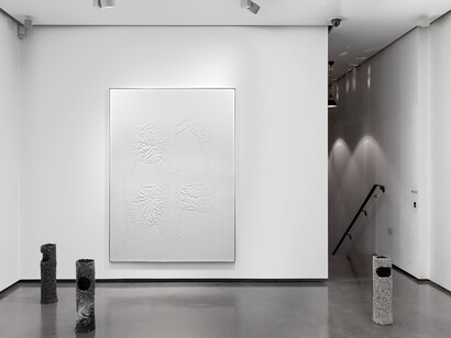 Santiago Taccetti, ISO 9001, installation view