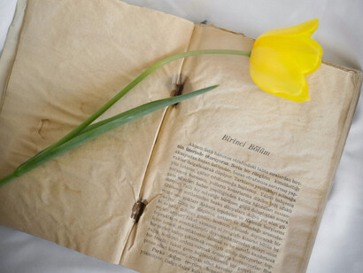 La pregunta permanece en por qué insisto, por qué insisto en los vaivenes, por qué no te dejo ir ni me voy definitivamente