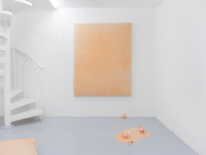 Gioia Di Girolamo - Assisted Service for Miracle Reactions. Exhibition view, Dimora Artica (ph Massimiliano Costantini)