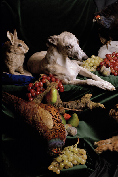 Nadin Maria Ruefenacht, Helden serie nature morte, 2005. Mit freundlicher Genehmigung des Museums Franz Gertsch
