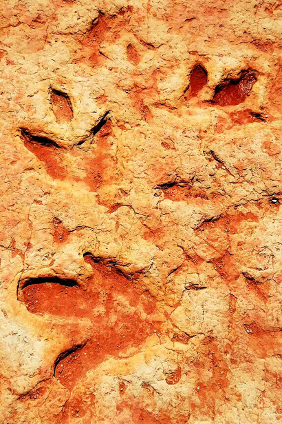 Impronte presso Brezina, Wilaya d'El Bayadh, Algeria

