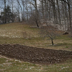 One Place Understood. Courtesy of Ogden Museum of Southern Art