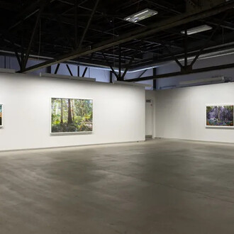 Sarah Anne Johnson, A mountain and a forest, exhibition view. Courtesy of Blouin Division