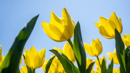 C’è quella di primavera che ancora si mescola al fresco delle montagne e i primi fiori che spuntano