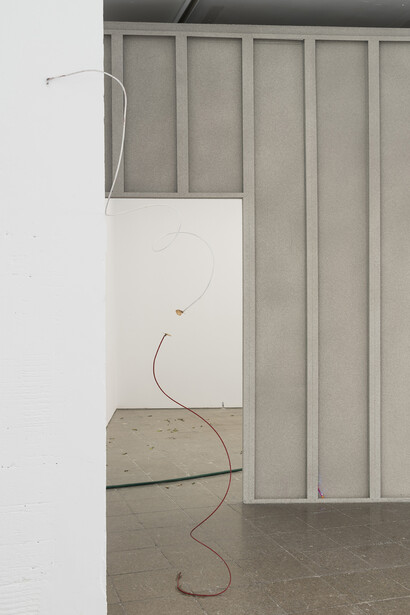 Alejandro Palacín. Courtesy of Nogueras Blanchard, Photography: Roberto Ruiz