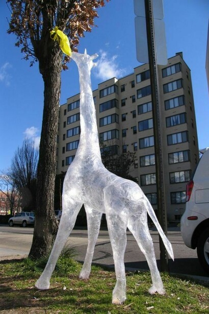 Mark Jenkins, Giraffa