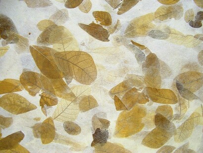 Carta in fibra naturale con inserti