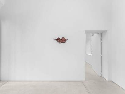 Adriano Costa, Sweet, exhibition view. Courtesy of Mendes Wood DM