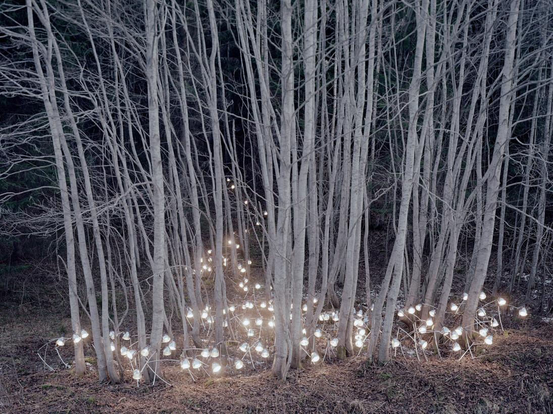 Rune Guneriussen, Quality of present interaction, 49 x 70 in. 