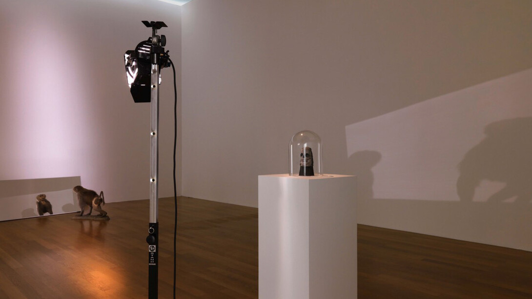 Ausstellungsansicht „Thomas Lehnerer. Freies Spiel“, Kunstmuseum Liechtenstein, Foto: Stefan Altenburger Photography, Zürich