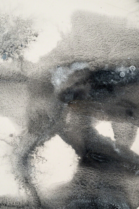 Debra Scacco. Courtesy of Klowden Mann