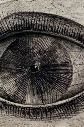 Max Ernst, Historie naturelle, 1926
© VG Bild-Kunst, Bonn 2014