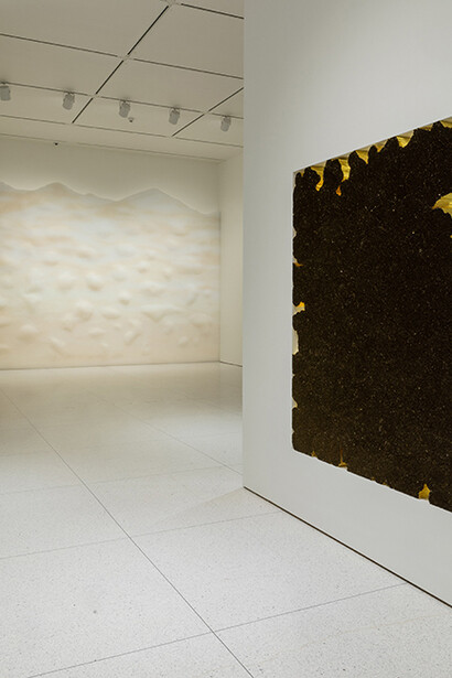 Tara Donovan. Courtesy of Smart Museum of Art