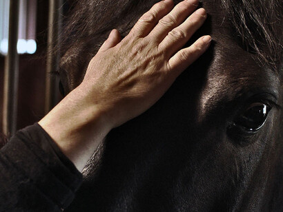 Here You Are. Courtesy of Kiasma