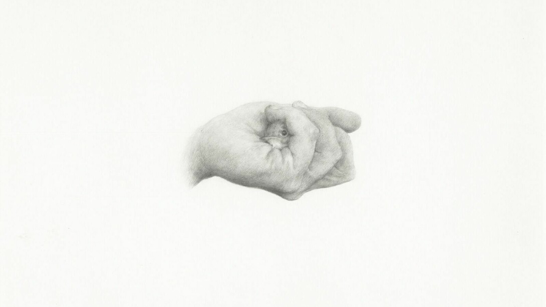 Giovanni De Lazzari, Preso, 2012, matita su carta, cm 30x30