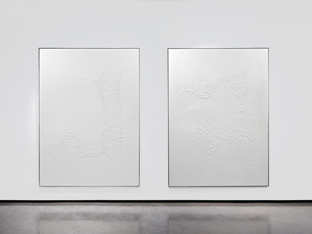 Santiago Taccetti, ISO 9001, installation view