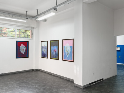 Ann Hirsch - Submarine Society - Exhibition view