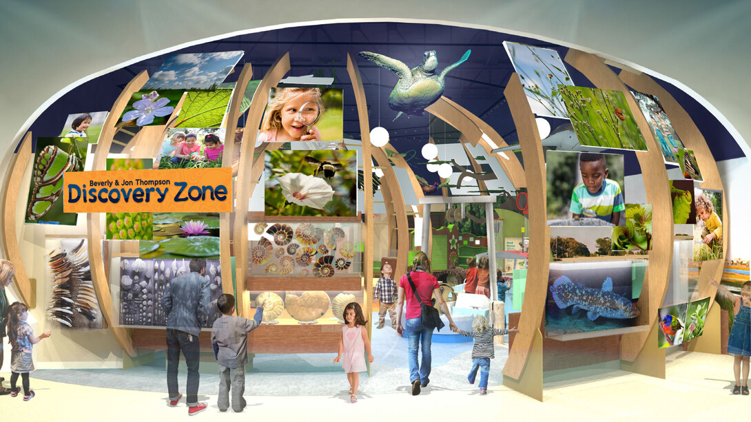 Discovery Zone. Courtesy of Florida Museum of Natural History