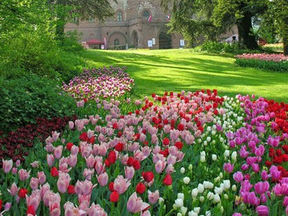 Il giardino nel momento di fioritura dei tulipani