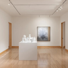 Richard Learoyd, exhibition view. Courtesy of Fraenkel Gallery