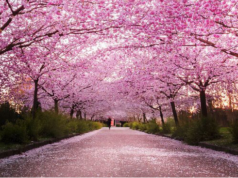 Copenhagen © Christopher Mertz