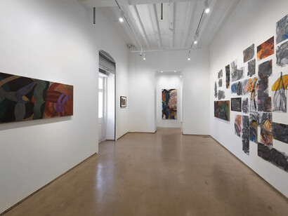 Kaveri Raina, Of fire-harpoons, exhibition view. Courtesy of Experimenter