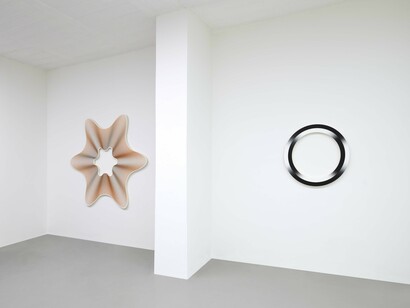 Philippe Decrauzat, Teatro anatomico, exhibition view. Courtesy of Galleria Poggiali