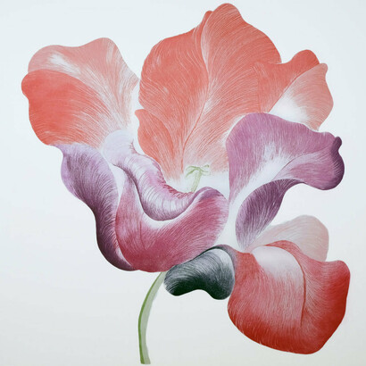 Gráinne Cuffe, Etching, 114 x 108 cm. Courtesy of Graphic Studio Gallery