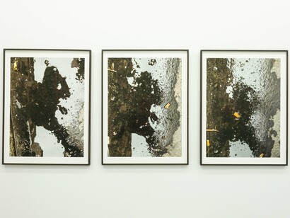 L. Lamothe, Retrato Borde, 1,2,3, 2022, Inkjet print on Rag+Matt 310g paper, 80x60x3 cm. Courtesy of the artist and Alberta Pane Gallery