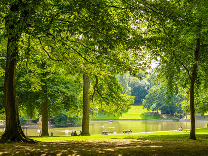 Bois de Cambre à Bruxelles
