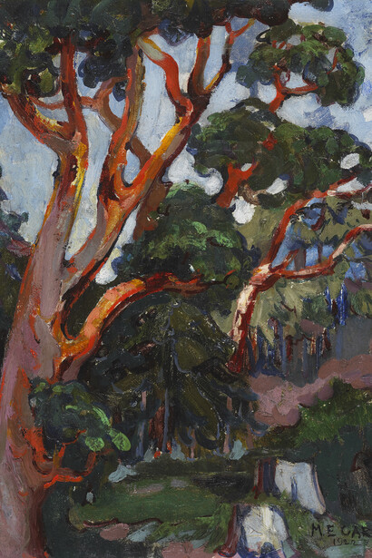Emily Carr, Arbutus Tree c. 1909, Watercolour on paper,, 54.7 x 38 cm, 2005.025.001, Art Gallery of Greater Victoria, In memory of Jennet and Louise Davies, Edith and Oswald Parker and James R. Davies
