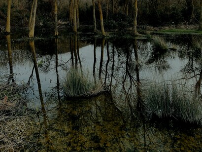 Filmes como Matrix apresentam ideias que ressoam com a cosmologia gnóstica, onde a realidade percebida é uma ilusão criada por forças opressoras, e a verdadeira libertação só pode ser alcançada por meio de um despertar espiritual ou intelectual