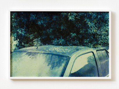 Basim Magdy, The Hollow Desire to Populate Imaginary Cities, 2014. 30 C-Prints from chemically altered slides on metallic paper, 34 x 51 cm each. Installation view at Art in General. Image courtesy the artist and Art in General. Photo: Charles Benton.