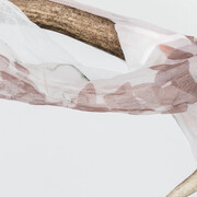 Luca Trevisani Il secco e l’umido, 2016 UV print on stockings, animal horn, plexiglas Photo: Delfino Sisto Legnani Courtesy the artist