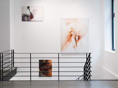 Natascha Schmitten, Lamina, exhibition view. Courtesy of Galerie Christian Lethert