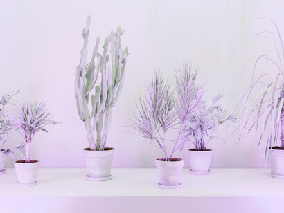 Andrew Dadson. Courtesy of The Contemporary Art Gallery