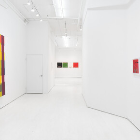 Alicia McCarthy's solo exhibition, exhibition view. Courtesy of Jack Hanley Gallery