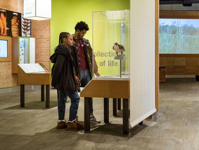 Abbott Hall of Conservation. Courtesy of Field Museum
