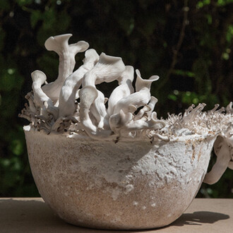 Design Matters. Courtesy of Bildmuseet