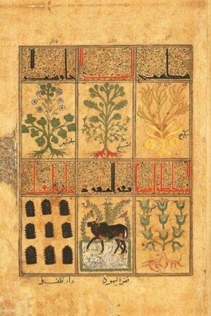 Les pages intérieures du Kitâb al-Diryâq